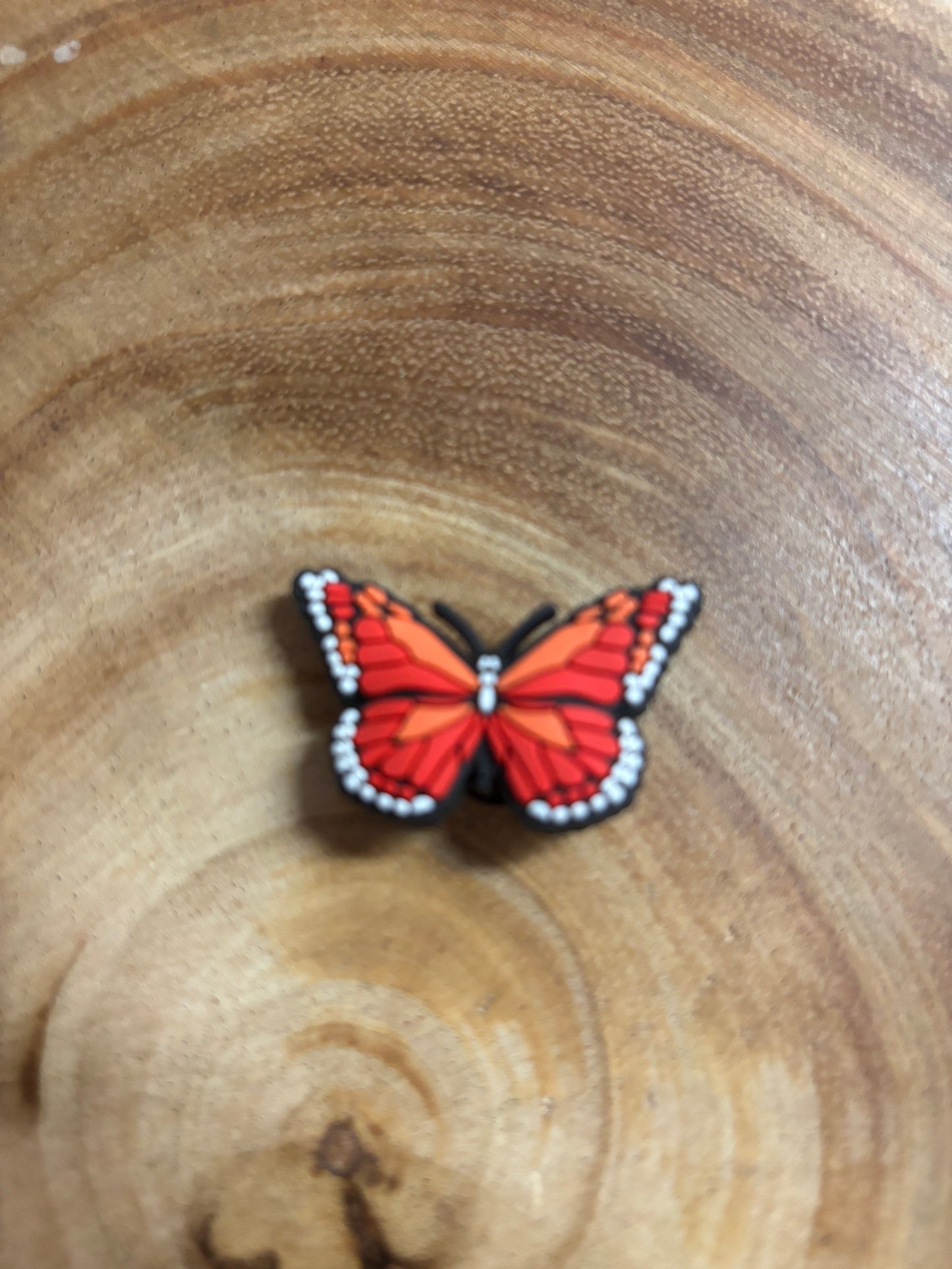 Butterfly Shoe Charm