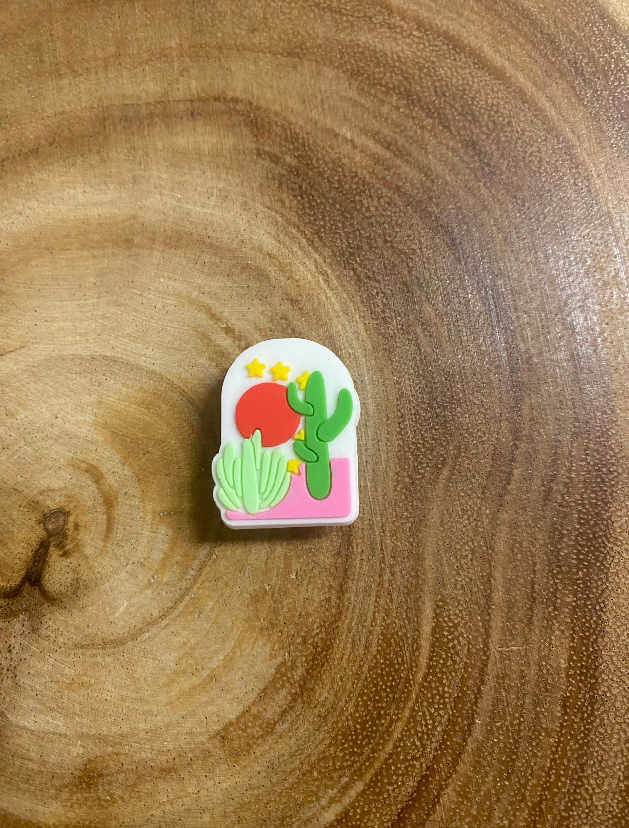 Cactus Shoe Charm